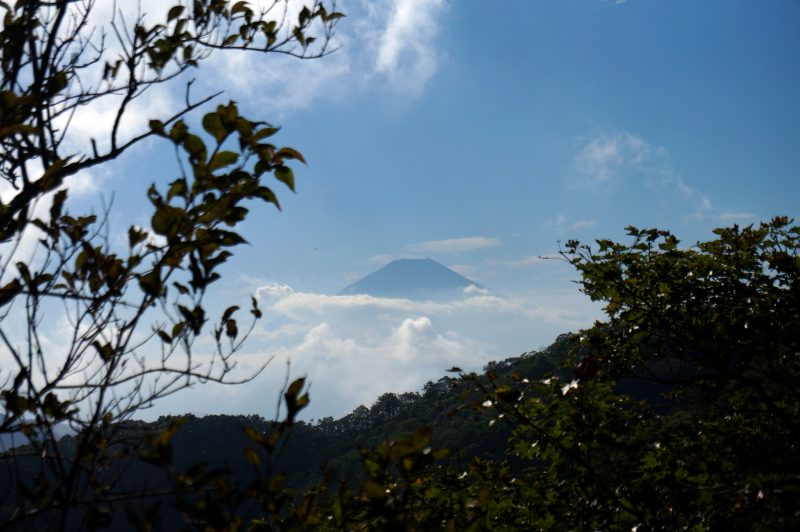 鍋割山～小丸 富士山②